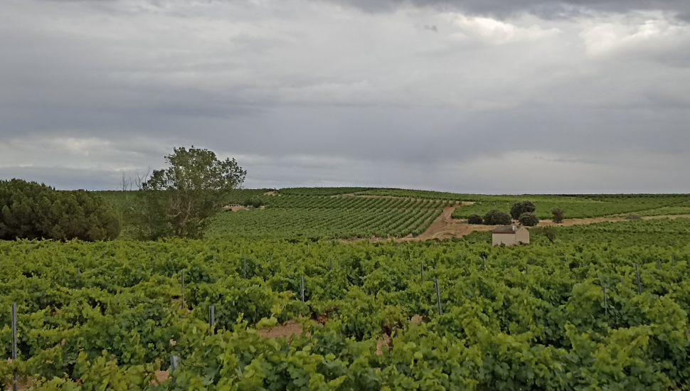 La Seca estrena este viernes una bodega municipal subterránea del siglo XVIII